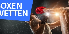 Boxen Wetten Logo